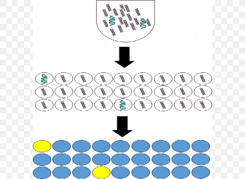 Digital Polymerase Chain Reaction Molecular Biology Technology, PNG, 800x600px, Digital Polymerase Chain Reaction, Area, Biology, Brand, Chain Reaction Download Free