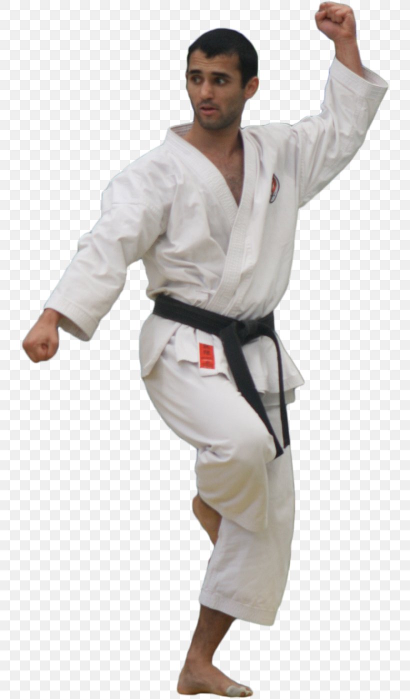 Dobok Karate Costume Sport Uniform, PNG, 738x1397px, Dobok, Arm, Clothing, Costume, Japanese Martial Arts Download Free