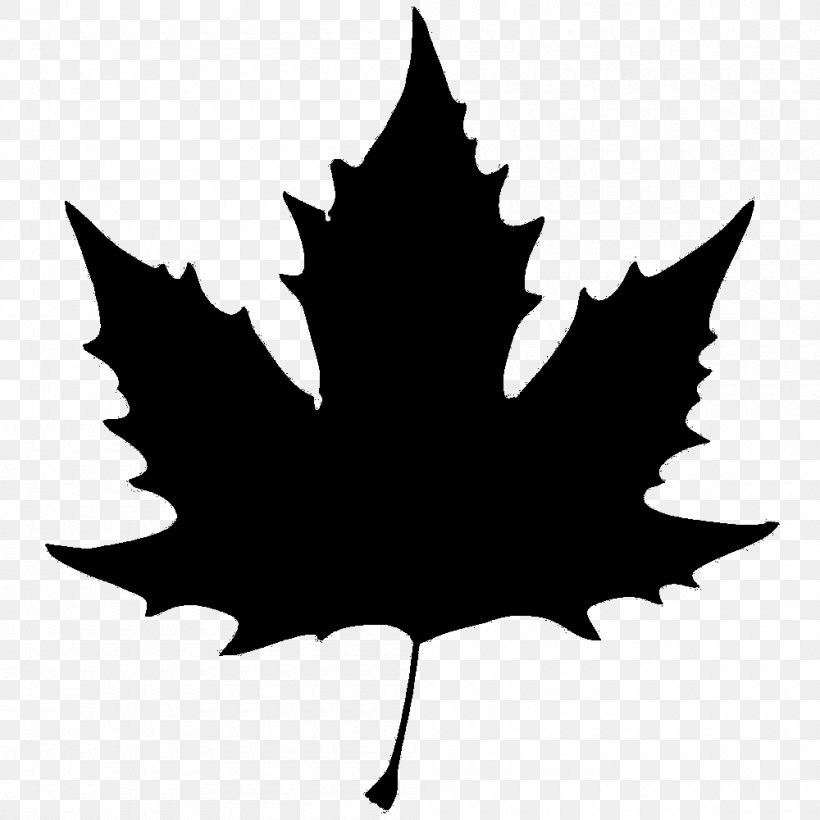 Maple Leaf Image Stock Illustration, PNG, 1000x1000px, Leaf, Art, Black Maple, Blackandwhite, Flowering Plant Download Free