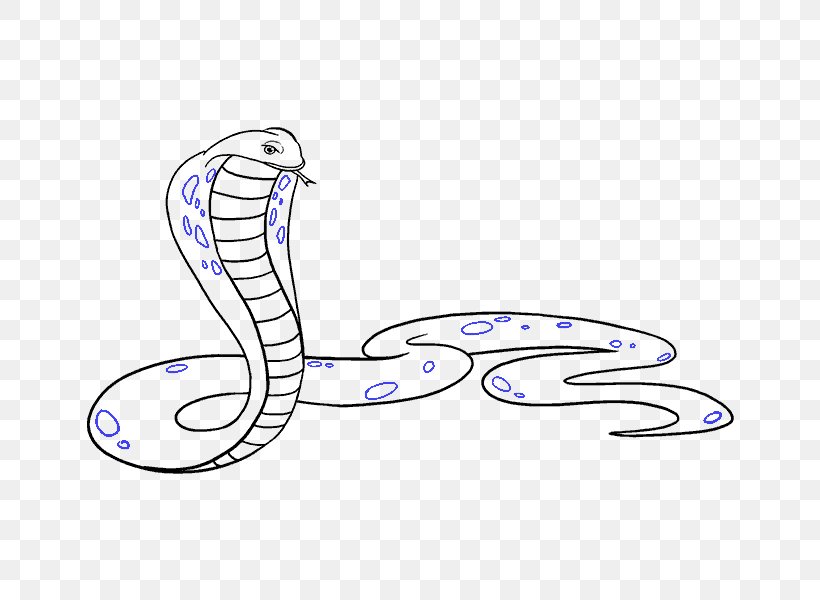 Snake Drawing King Cobra Cartoon, PNG, 678x600px, Watercolor, Cartoon,  Flower, Frame, Heart Download Free
