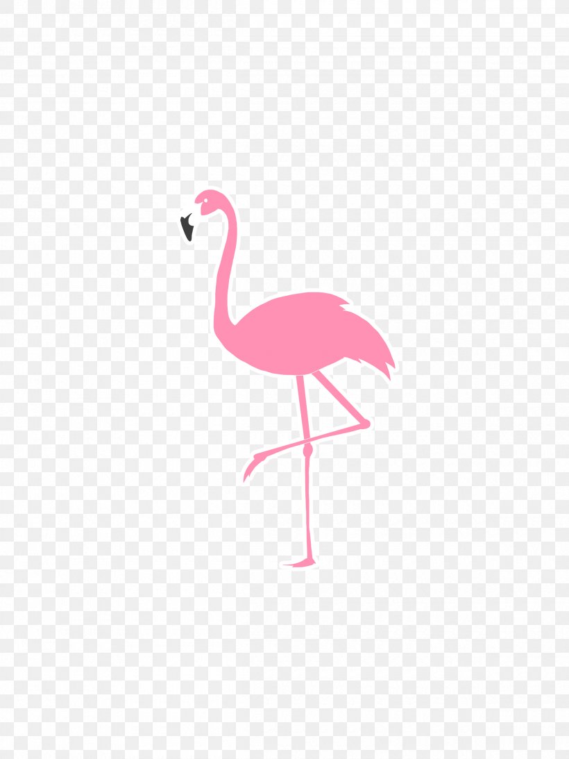 T-shirt Logo Flamingo Sticker Hoodie, PNG, 2400x3200px, Tshirt, Beak, Bird, Brand, Clothing Download Free
