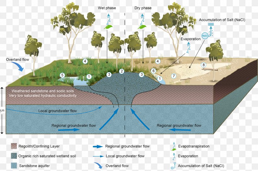 Wetland Groundwater-dependent Ecosystems Aquifer Water Resources, PNG, 1800x1196px, Wetland, Aquatic Ecosystem, Aquifer, Biome, Diagram Download Free