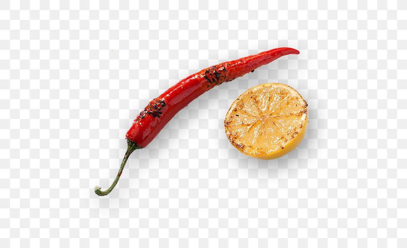 Chili Pepper Vegetarian Cuisine Cayenne Pepper Peperoncino Meat, PNG, 500x500px, Chili Pepper, Bakx Foods Bv, Bell Peppers And Chili Peppers, Capsicum Annuum, Cayenne Pepper Download Free