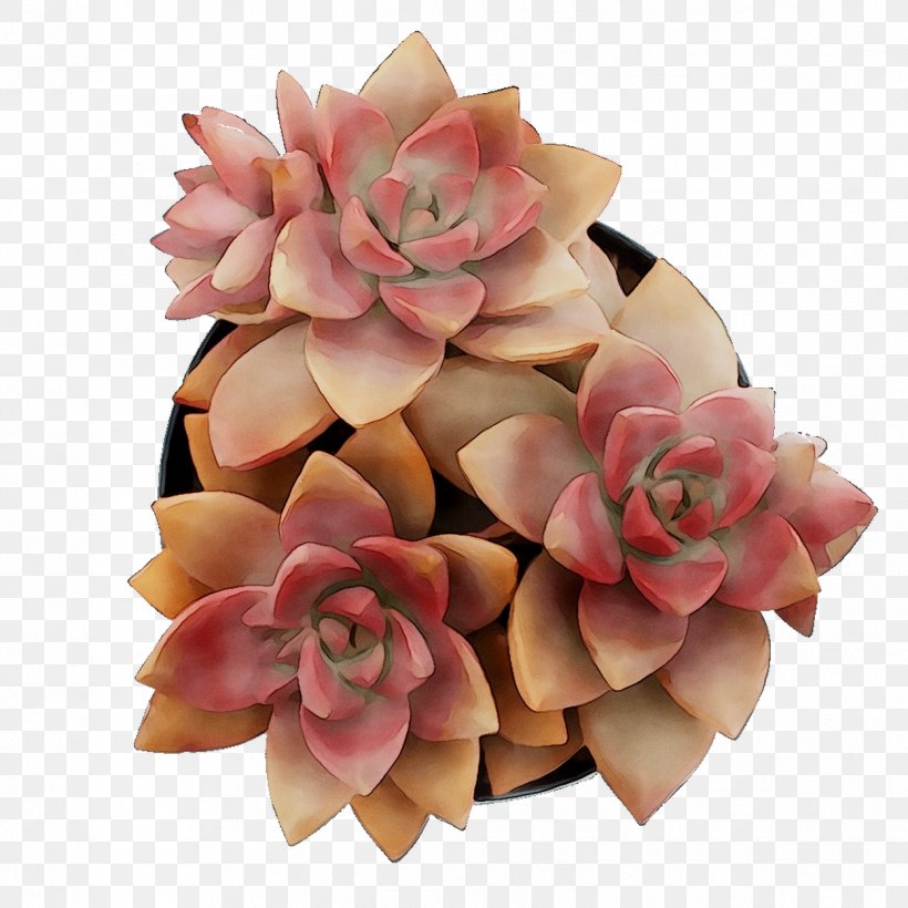 Cut Flowers Flower Bouquet Petal Pink M, PNG, 1249x1249px, Cut Flowers, Artificial Flower, Beige, Bouquet, Echeveria Download Free