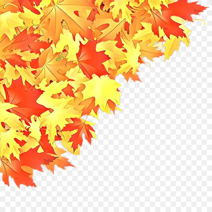 Maple Leaf, PNG, 2000x2000px, Cartoon, Autumn, Black Maple, Leaf, Maple Download Free
