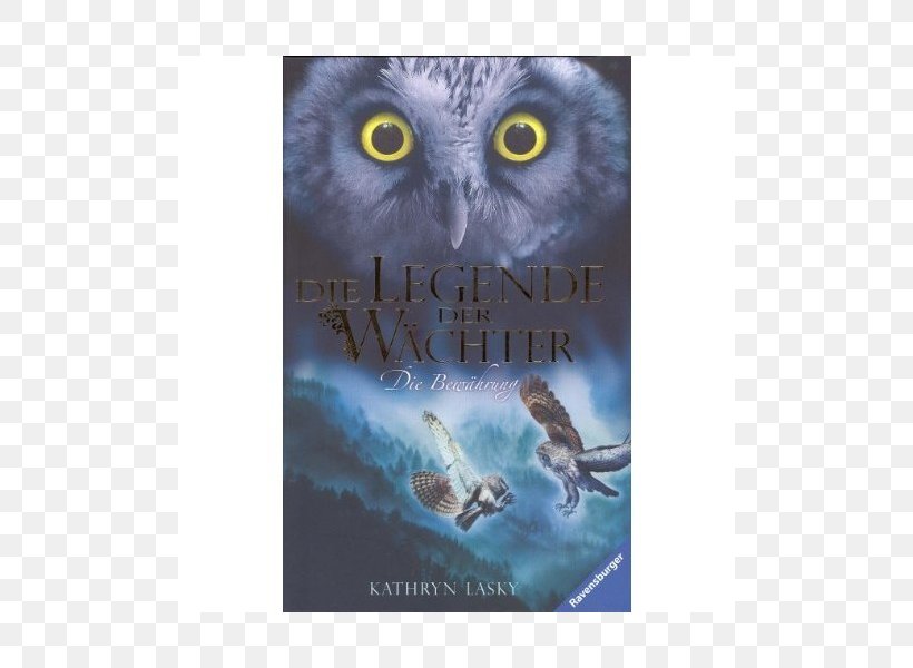 Owl Guardians Of Ga'Hoole: The Capture The Journey The Shattering, PNG, 800x600px, Owl, Beak, Bird, Bird Of Prey, Book Download Free