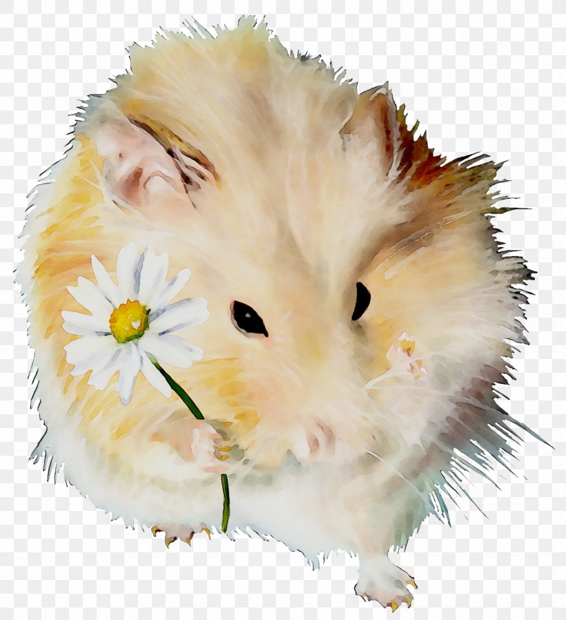 Computer Mouse Whiskers Snout Fauna Fur, PNG, 1693x1855px, Computer Mouse, Fauna, Fur, Gerbil, Guinea Pig Download Free