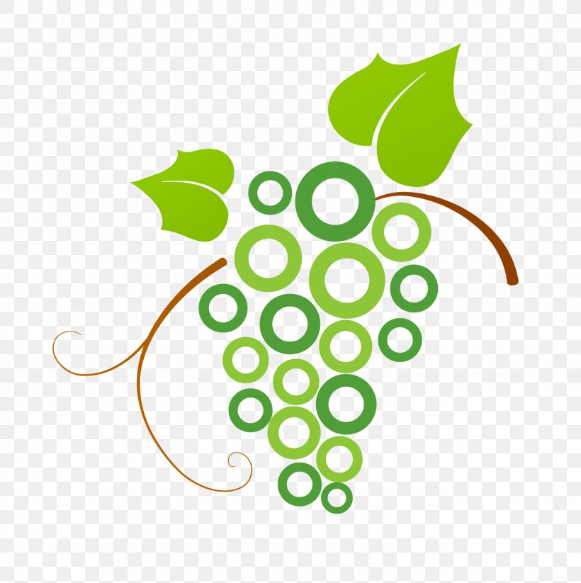 Logo Common Grape Vine, PNG, 1526x1533px, Logo, Area, Art, Common Grape Vine, Designer Download Free