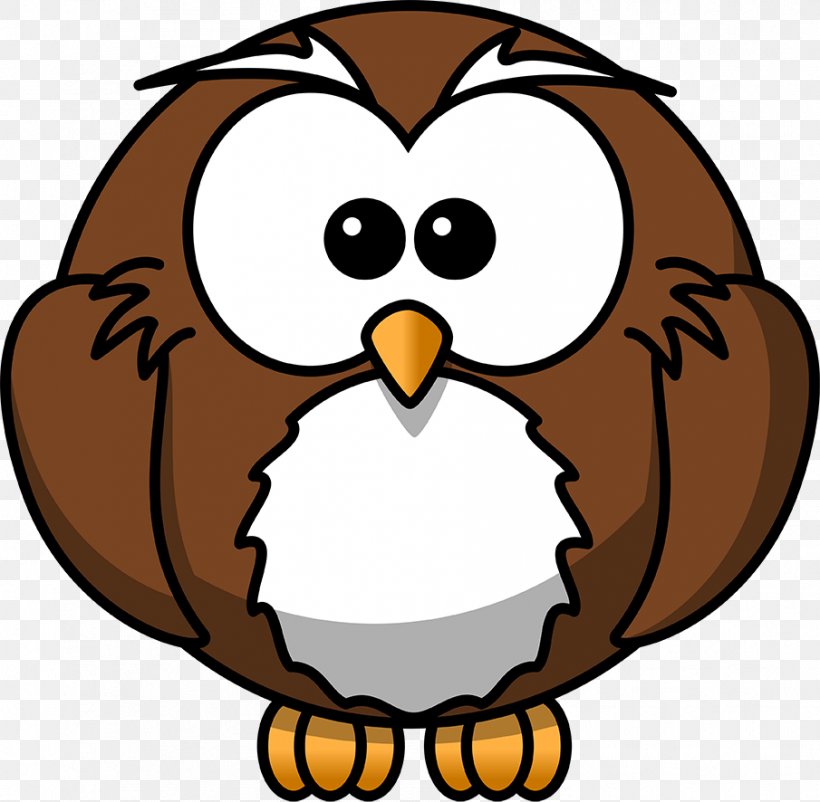 Owl Cartoon Drawing Animation, PNG, 905x886px, Owl, Animation, Artwork, Barn Owl, Beak Download Free