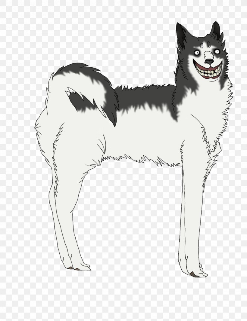 Siberian Husky Canaan Dog East Siberian Laika West Siberian Laika Finnish Spitz, PNG, 1024x1334px, Siberian Husky, Alaskan Klee Kai, Alaskan Malamute, Black And White, Canaan Dog Download Free