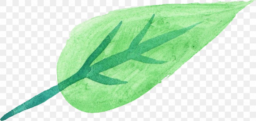 Watercolor Painting Leaf Green, PNG, 1355x646px, Watercolor Painting, Com, Green, Leaf, Painting Download Free