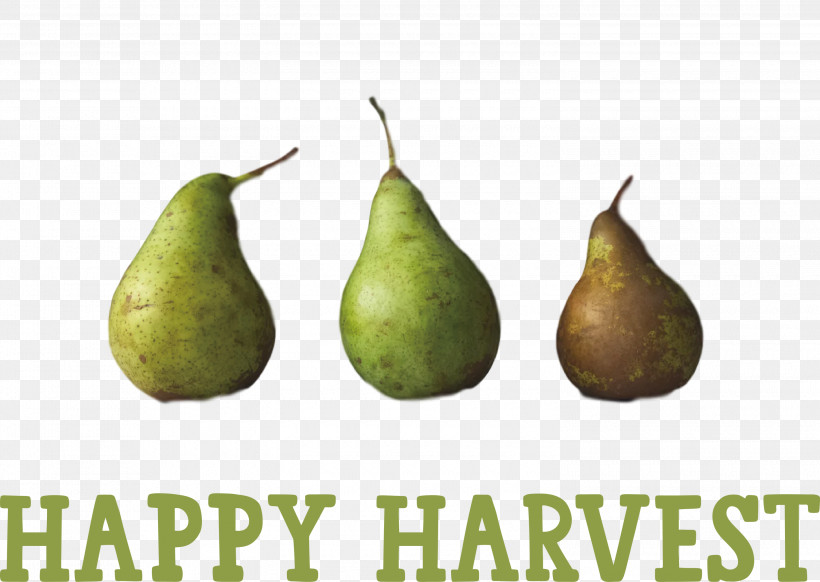 Happy Harvest Harvest Time, PNG, 3000x2131px, Happy Harvest, Fruit, Harvest Time, Pear Download Free