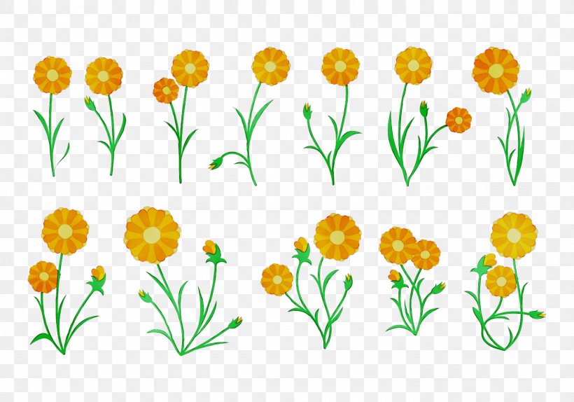 Pot Marigold Vector Graphics Clip Art Illustration, PNG, 1400x980px, Pot Marigold, Botany, Chamomile, Cut Flowers, Drawing Download Free
