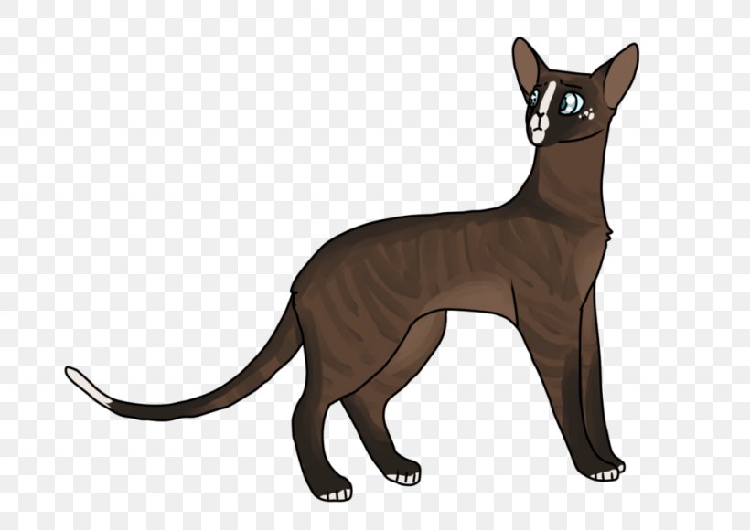 Whiskers Cat Dog Mammal Canidae, PNG, 1024x725px, Whiskers, Animal, Animal Figure, Canidae, Carnivoran Download Free