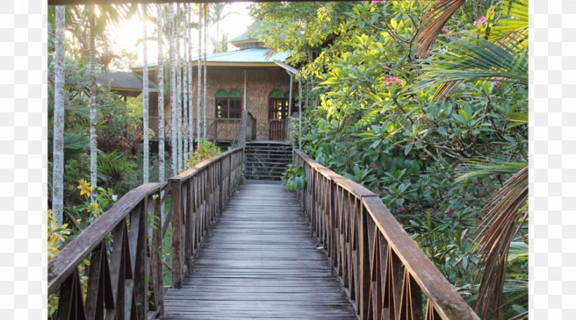 Borneo Malaysia France Nature Reserve Travel, PNG, 900x501px, Borneo, Baobab, Cottage, Europe, France Download Free