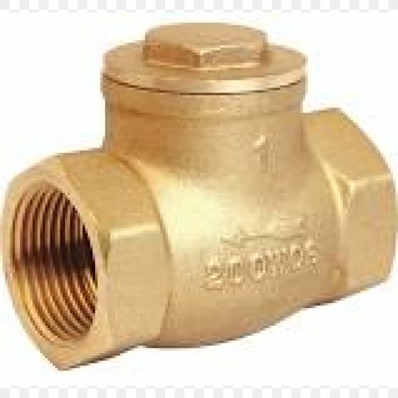 Check Valve Brass Ball Valve National Pipe Thread, PNG, 1200x1200px, Check Valve, Backflow, Ball Valve, Brass, Double Check Valve Download Free
