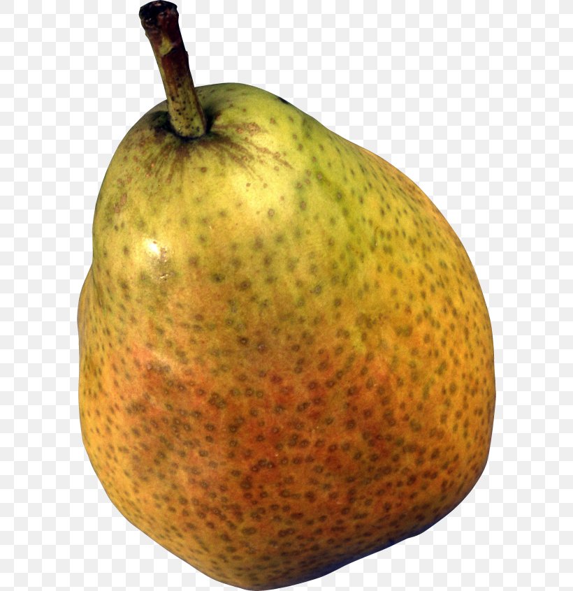 Fruit Tree, PNG, 600x846px, Pear, Accessory Fruit, Asian Pear, Clausena Lansium, Food Download Free
