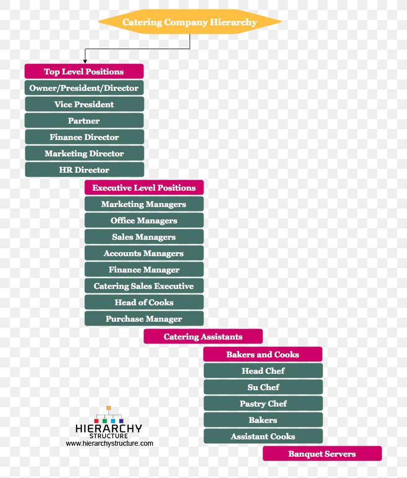 Hierarchical Organization Business Catering Hierarchy Senior Management, PNG, 782x963px, Hierarchical Organization, Brand, Business, Career, Catering Download Free