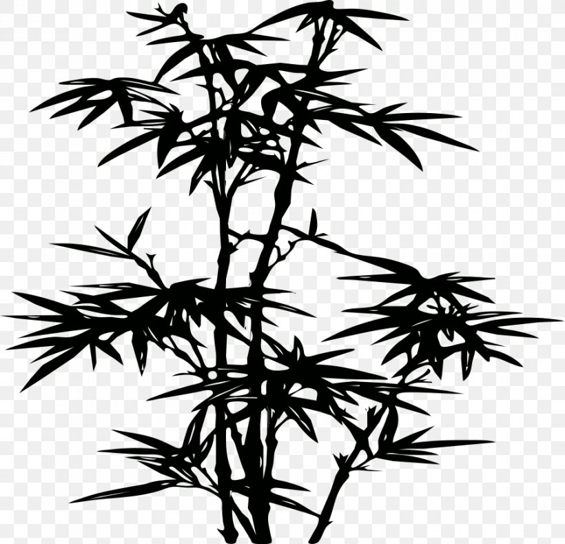 Tropical Woody Bamboos Phyllostachys Nigra Drawing Clip Art, PNG, 900x866px, Tropical Woody Bamboos, Black And White, Branch, Drawing, Flora Download Free