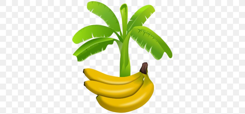 Banana Plantation Banana Leaf Clip Art, PNG, 343x382px, Banana, Banana Family, Banana Leaf, Banana Plantation, Cooking Plantain Download Free