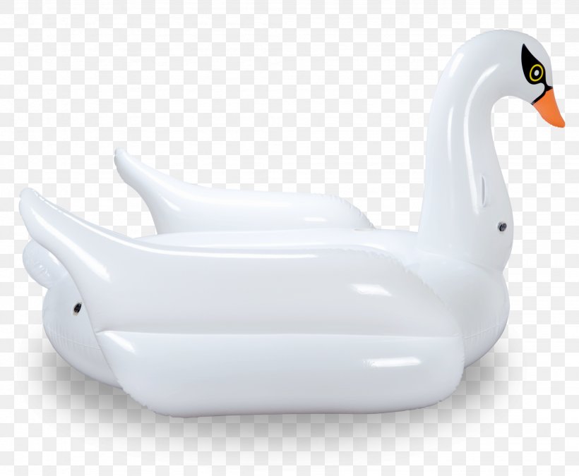 Duck Cygnini Plastic Mimosa Product Design, PNG, 2048x1688px, Duck, Beak, Bird, Cygnini, Ducks Geese And Swans Download Free