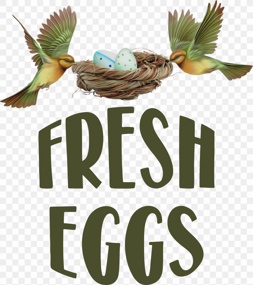 Fresh Eggs, PNG, 2663x3000px, Fresh Eggs, Atlantic Canary, Beak, Bird Egg, Bird Food Download Free