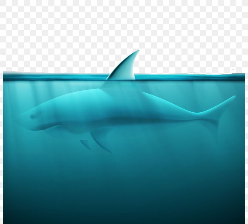 Great White Shark Spinner Dolphin Squaliformes Tiger Shark, PNG, 800x739px, Great White Shark, Aqua, Azure, Biology, Blue Download Free
