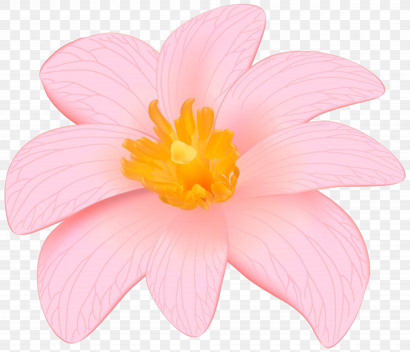 Petal Pink Rose Rosaceae Herbaceous Plant, PNG, 8000x6871px, Flower, Barrette, Close Up, Flowering Plant, Herbaceous Plant Download Free