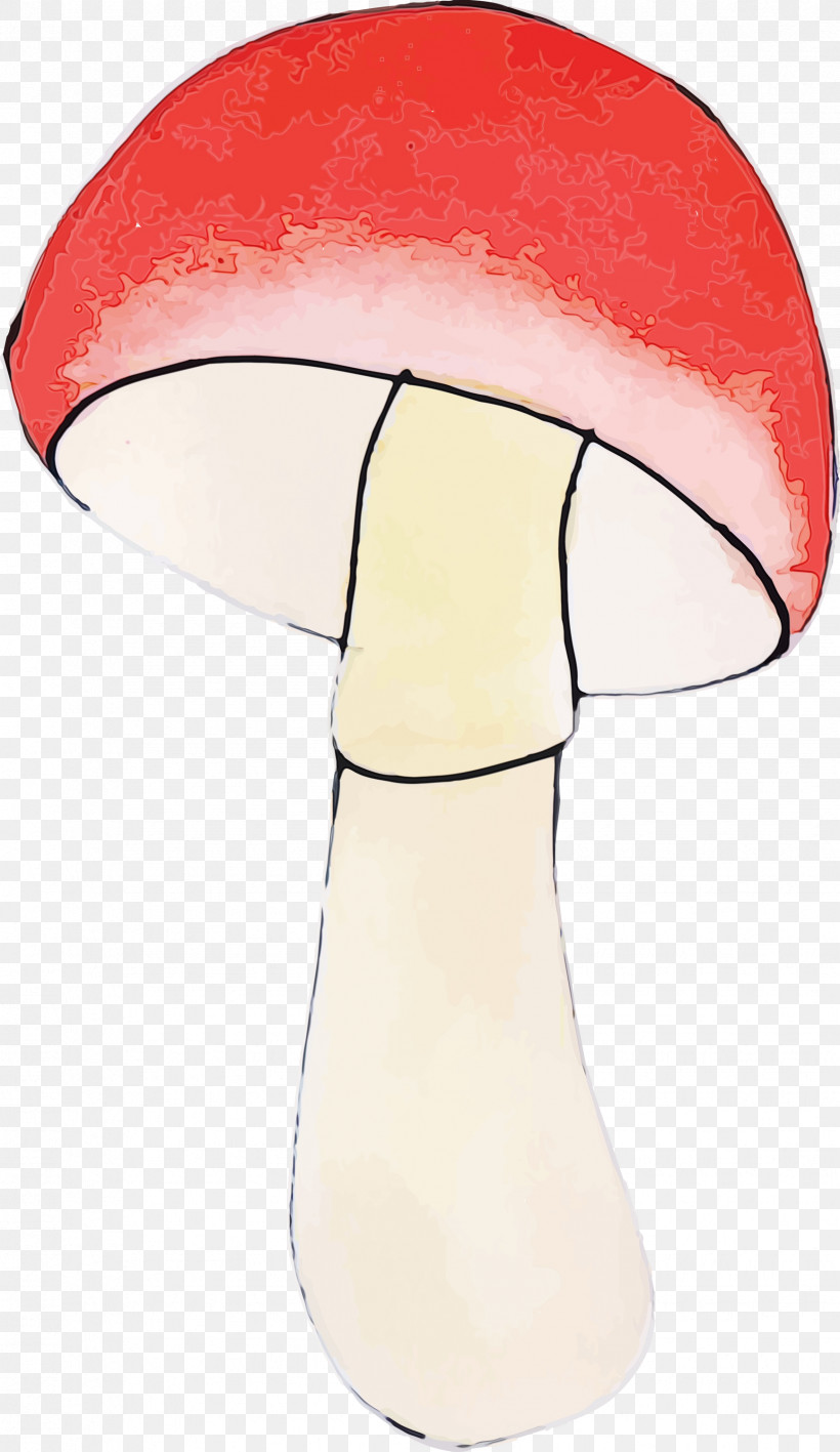 Hat Lamp, PNG, 1736x3000px, Watercolor Mushroom, Hat, Lamp, Paint, Watercolor Download Free