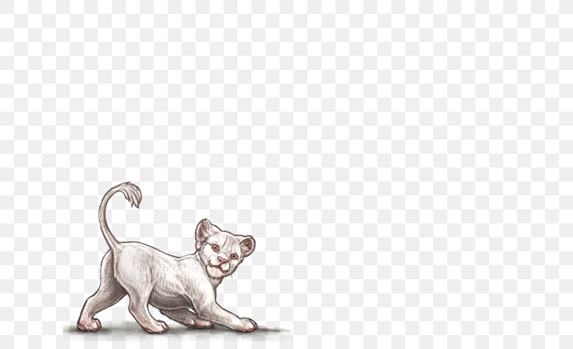 Kitten Dog Cat Whiskers Felidae, PNG, 640x500px, Kitten, Albinism, Big Cat, Big Cats, Carnivoran Download Free
