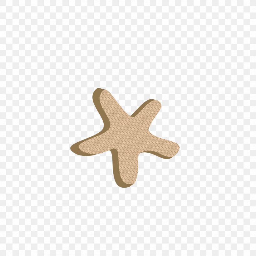 Starfish Cartoon Drawing, PNG, 1701x1701px, Starfish, Animation, Beige, Cartoon, Copyright Download Free