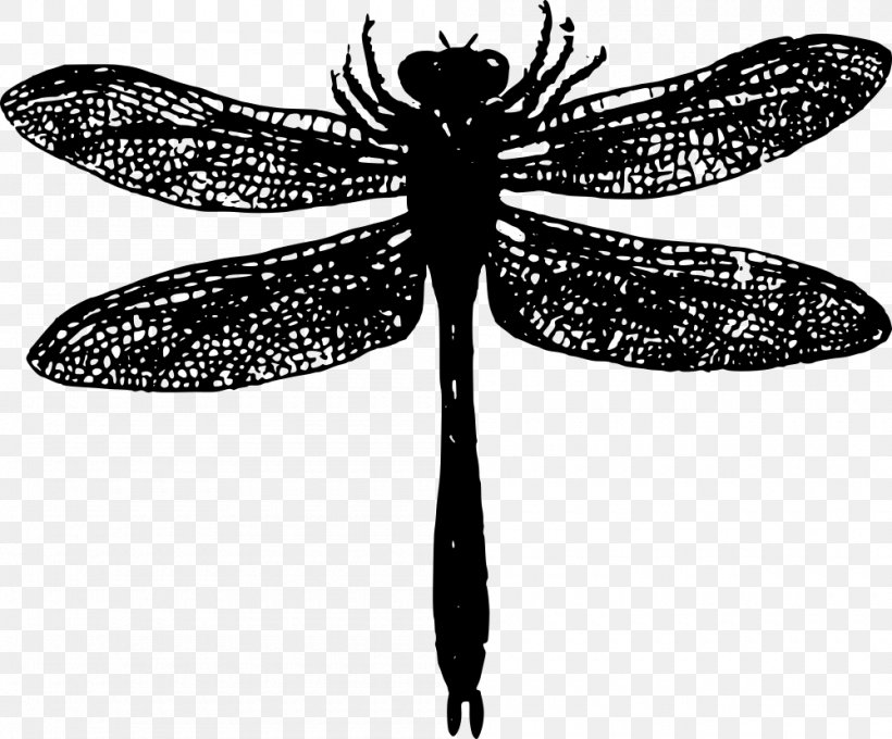 Dragonfly Vector Graphics Clip Art, PNG, 1000x830px, Dragonfly, Arthropod, Beetle, Black, Blackandwhite Download Free