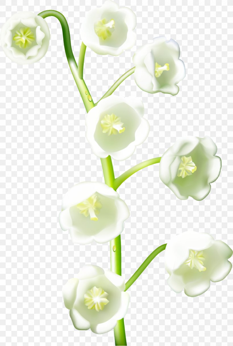 Flower Download Realism, PNG, 858x1270px, Flower, Color, Cut Flowers, Drawing, Flowering Plant Download Free