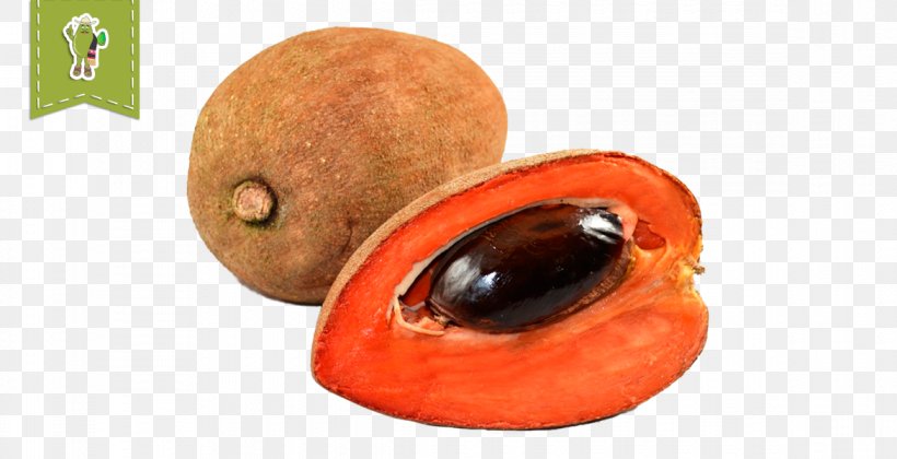 Mamey Sapote Mammea Americana Food Fruit, PNG, 1170x600px, Mamey Sapote, Black Sapote, Diet Food, Diospyros, Eating Download Free
