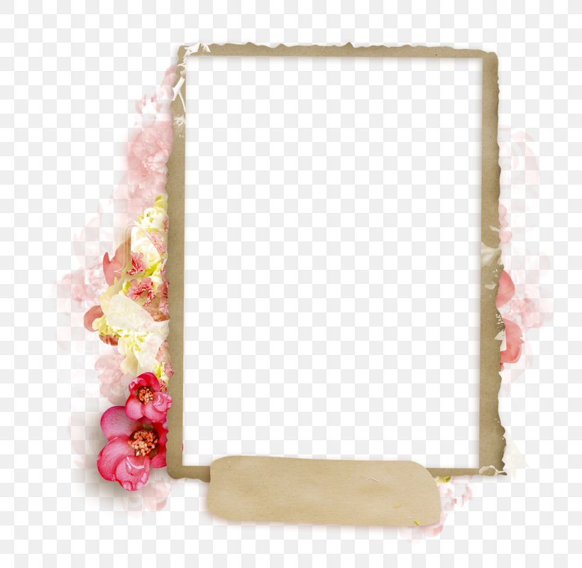 Picture Frames Clip Art, PNG, 800x800px, Picture Frames, Black Hair, Dots Per Inch, Mirror, Petal Download Free