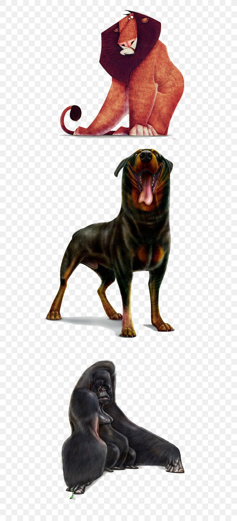 Rottweiler Pekingese Poodle Dog Breed Puppy, PNG, 700x1800px, Rottweiler, Breed, Carnivoran, Cartoon, Dog Download Free