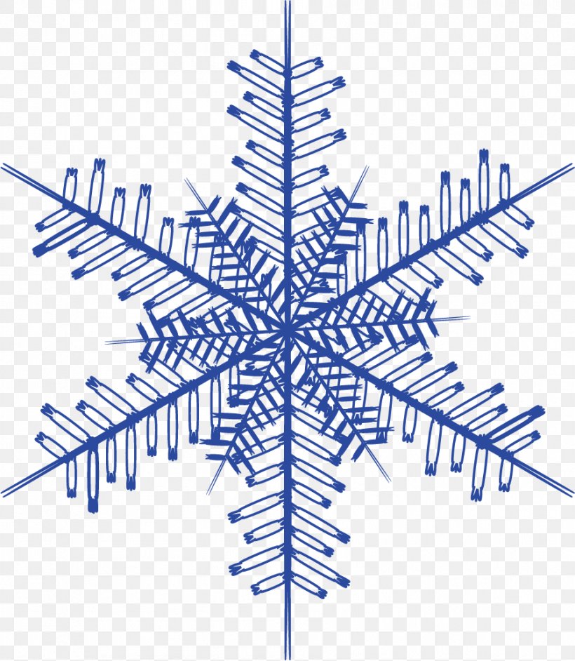 Snowflake Download Euclidean Vector, PNG, 901x1036px, Snowflake, Blue, Diagram, Point, Snow Download Free