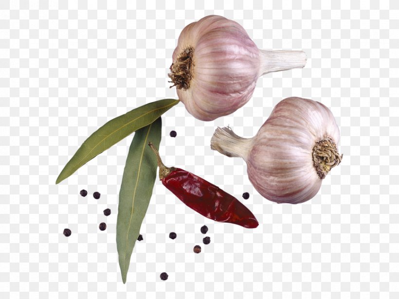 Condiment Garlic Spice Seasoning, PNG, 866x650px, Condiment, Allium, Black Pepper, Elephant Garlic, Flowering Plant Download Free