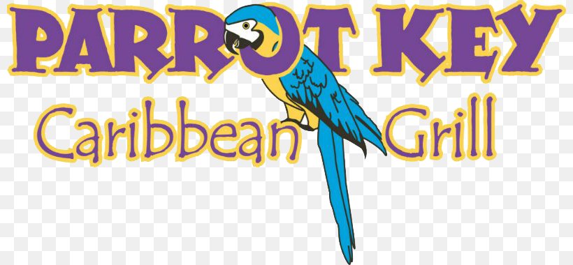 Parrot Key Caribbean Grill Fort Myers Beach Macaw Logo, PNG, 800x380px, Fort Myers Beach, Advertising, Banner, Beak, Bird Download Free