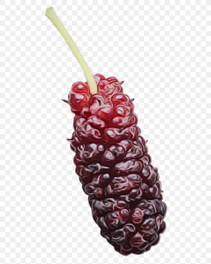 Fruit Cartoon, PNG, 547x1024px, Boysenberry, Accessory Fruit, Berries, Berry, Blackberry Download Free