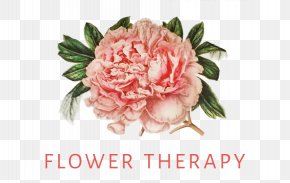 Flower Triangle - Moutan Peony Tree Peony Clip Art PNG