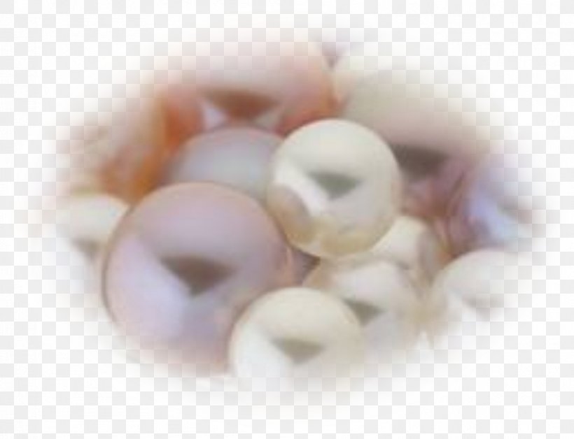 Pearl Gift, PNG, 1010x774px, Pearl, Gift, Jewelry Making Download Free