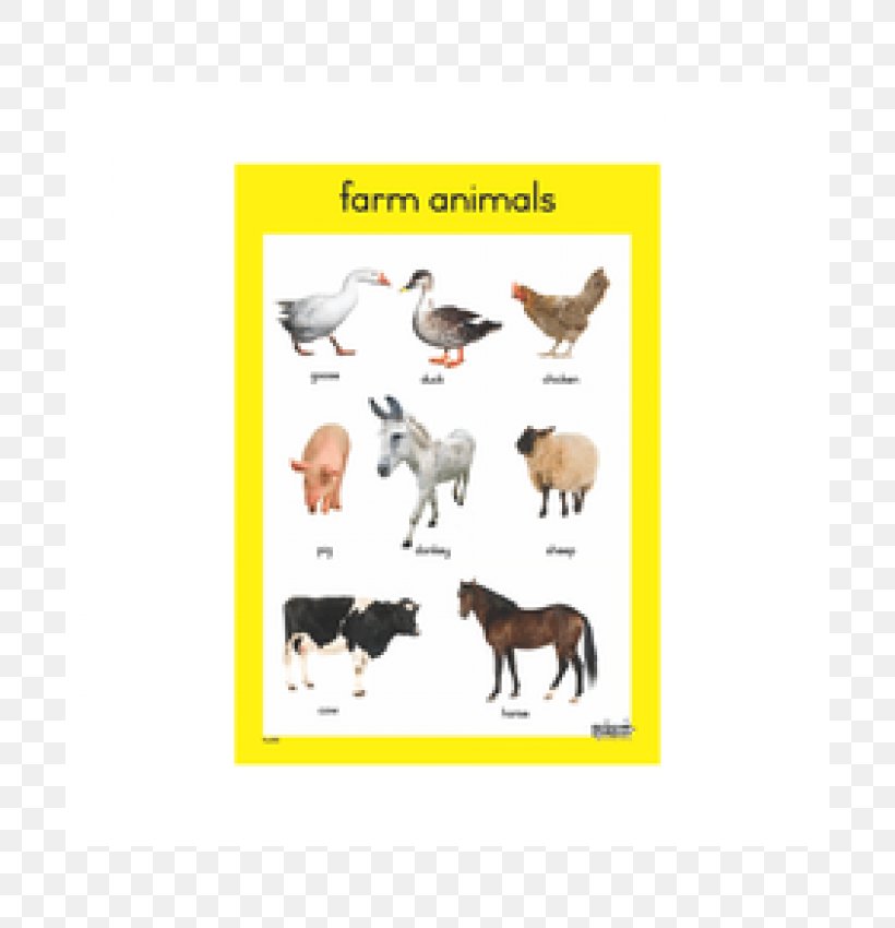 Animal Farm Chart