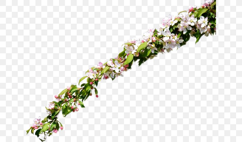 Flower Floral Design Twig Clip Art, PNG, 644x480px, Flower, Art, Blossom, Branch, Deviantart Download Free