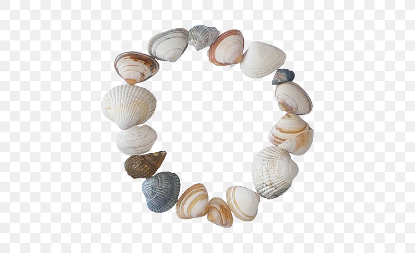 Seashell Picture Frames Cockle, PNG, 500x500px, Seashell, Animaatio, Bead, Clam, Clams Oysters Mussels And Scallops Download Free
