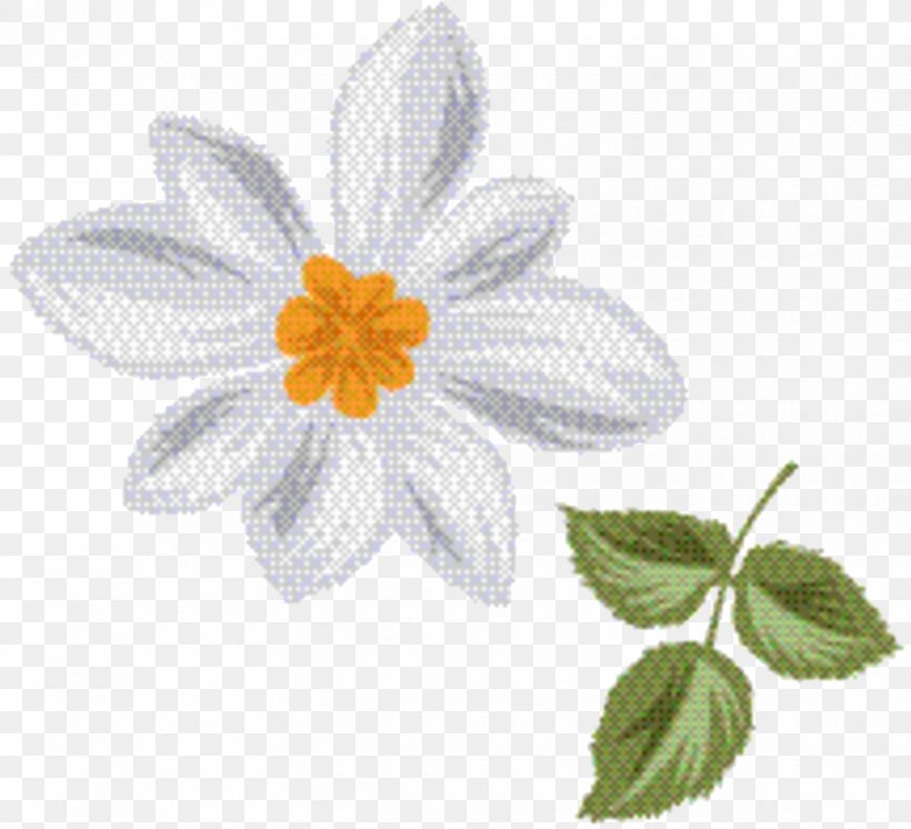 Flower Leaf, PNG, 864x787px, Oxeye Daisy, Camomile, Chamomile, Flower, Flowering Plant Download Free