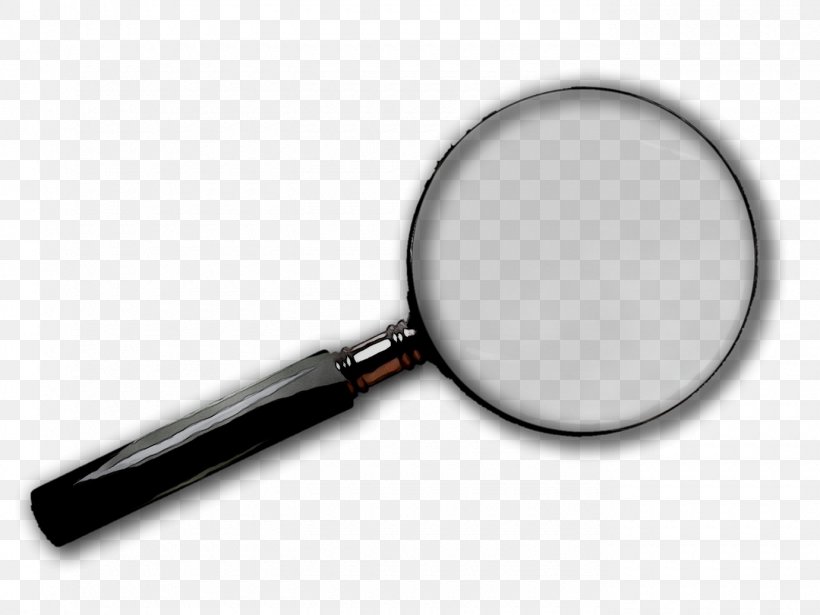 Magnifying Glass Insect Bites And Stings Clip Art, PNG, 1380x1035px, Magnifying Glass, Cookware And Bakeware, European Hornet, Hornet, Insect Download Free
