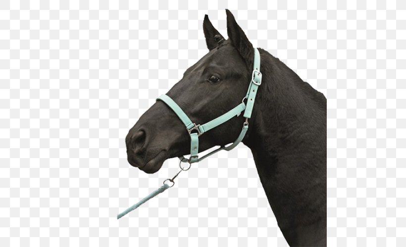 Halter Horse Tack Bridle Noseband, PNG, 500x500px, Halter, Bit, Bridle, Cabezada, Dressage Download Free