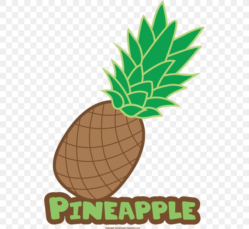 Pineapple Food Drawing Name Clip Art, PNG, 530x755px, Pineapple, Ananas, Drawing, Flowering Plant, Food Download Free