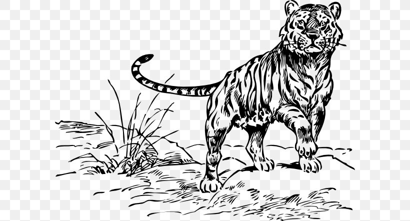 Cat Coloring Book Lion Drawing Clip Art, PNG, 600x442px, Cat, Animal Figure, Art, Bengal Tiger, Big Cat Download Free